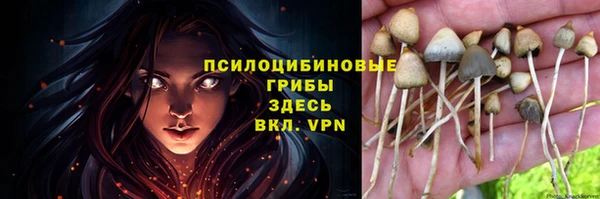 гашиш Алзамай