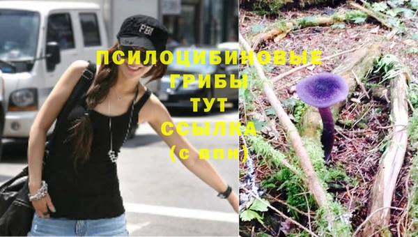 спиды Абдулино