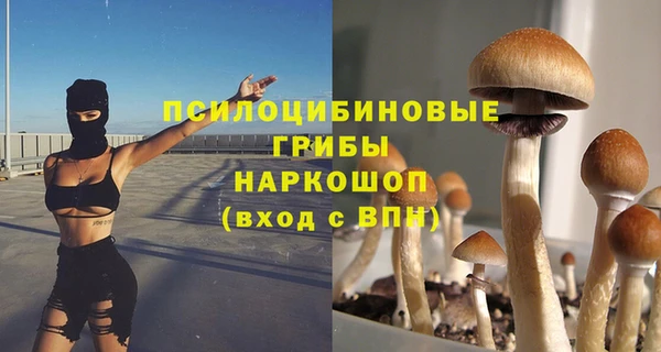 гашик Абаза