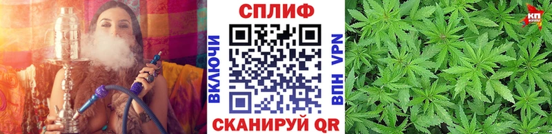 Конопля гибрид Елизаветинская
